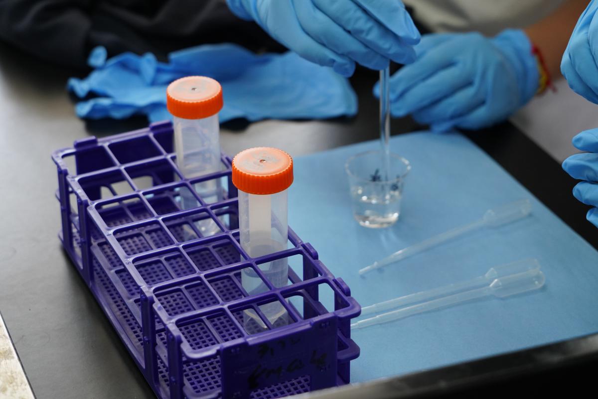 DSC08820.JPG DSC08820.JPG